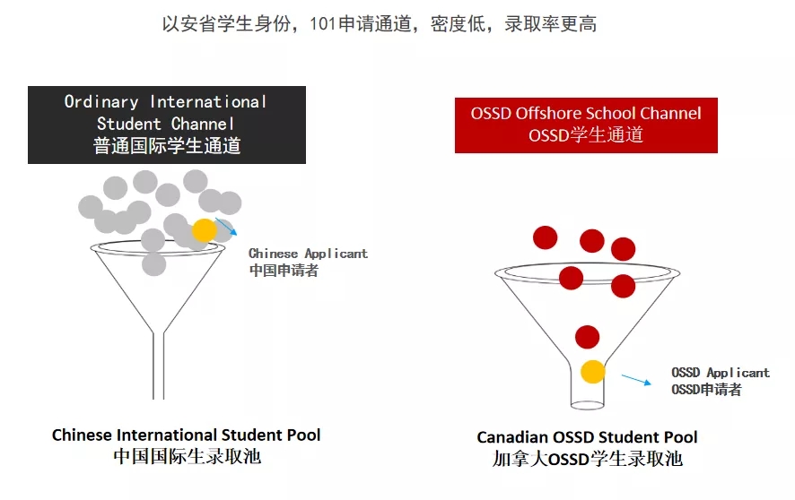 OSSD项目大学申请的优势是什么？OSSD大学申请 VS 普通大学申请！